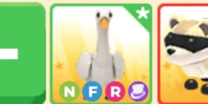 Gambar Product Swan NFR