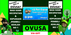 2 Pet Equip