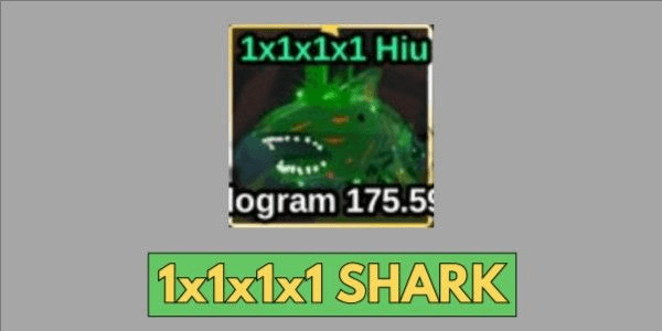 Gambar Product 1x1x1x1 Shark