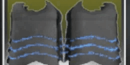 Bluowulf Glove