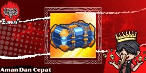 Chest x1