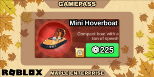 Mini Hoverboat