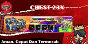 Chest x23