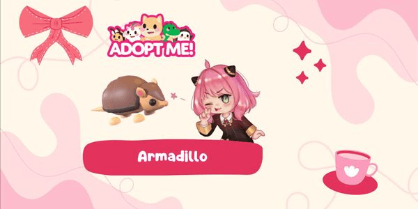 Gambar Product Armadillo