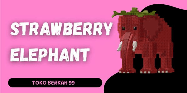 Gambar Product Strawberry Elephent