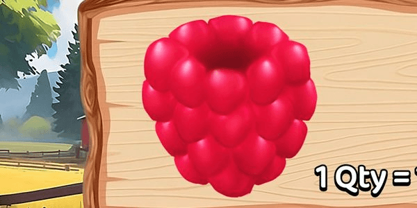 Gambar Product Raspberry