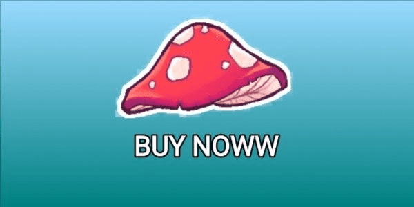 Gambar Product 1000 Shroom