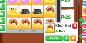 หมวกกีวี (เครื่องแต่งกายสัตว์เลี้ยงหายาก) Adopt Me - AdoptmeStore14