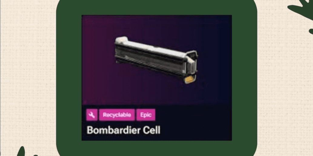 Product Showcase