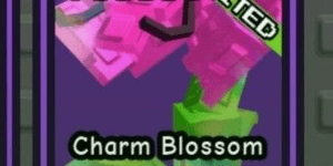 Charm Blossom