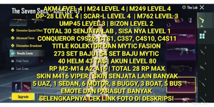 AKM LEVEL 4 | M24 LEVEL 4 | M249 LEVEL 4 | CONQUEROR 4X | 28 RP MAX | 273 OUTFIT SETS | M416 VIPER SKIN
