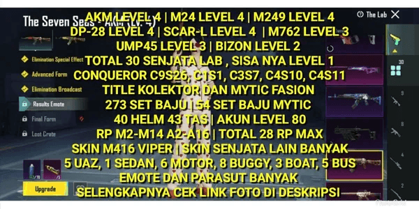 AKM LEVEL 4 | M24 LEVEL 4 | M249 LEVEL 4 | CONQUEROR 4X | 28 RP MAX | 273 OUTFIT SETS | M416 VIPER SKIN