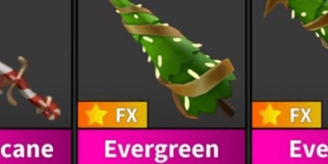 Gambar Product Evergreen