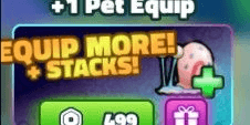 +1 Equip Pet