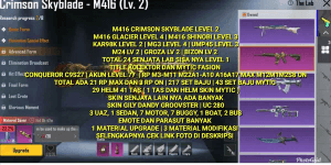 M416 CRIMSON LV 2 | M416 SHINOBI LV 2 | GLACIER LV 4 | 217 OUTFIT SETS | 21 RP MAX | CONQUEROR C9S27 | 24 LAB WEAPONS