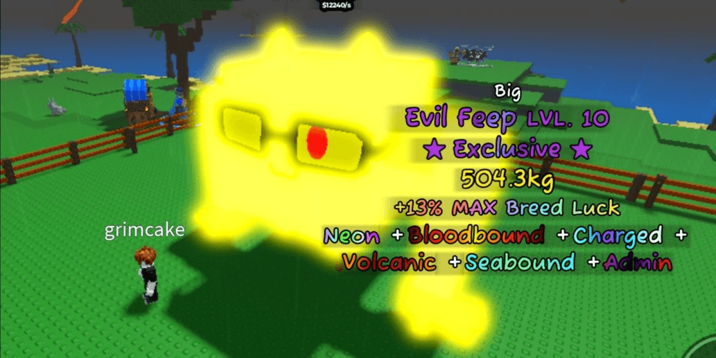 Product Showcase