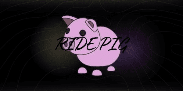 Gambar Product Pig Ride