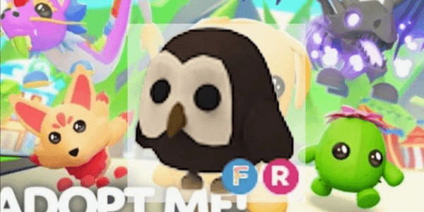 Gambar Product Owl FR