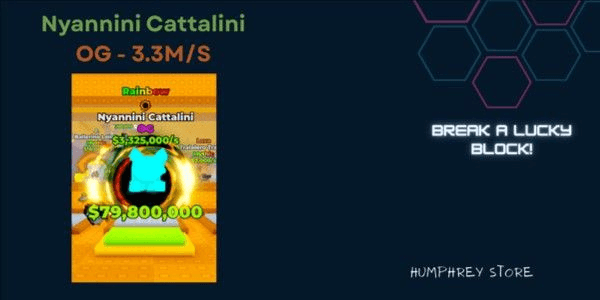 Gambar Product Nyannini Cattalini 2.6M/S