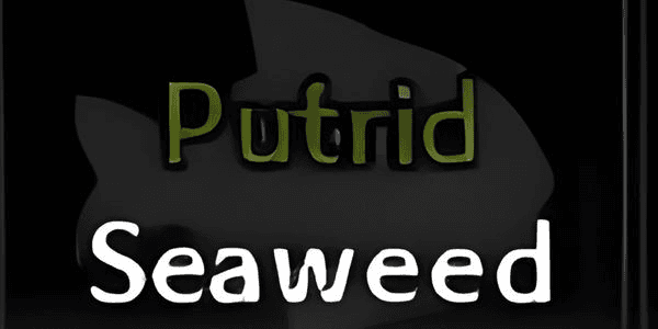 Gambar Product Putrid Seaweed