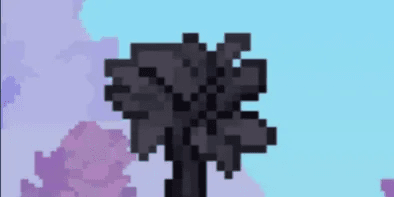 200 Basalt Wall Sapling