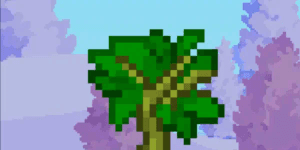 200 Bamboo Sapling