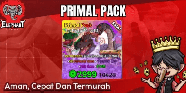 Limited bundle 1
