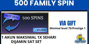 500 Family Spins