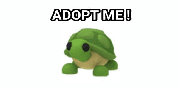 Gambar Product Turtle