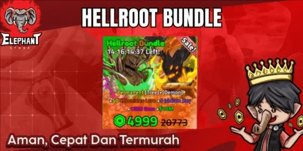Limited bundle 2
