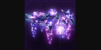 Gambar Product Moonlit Meadow Flowering Halo 2025