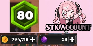 Survive the Killer Account 794K+ Coin Lv 80