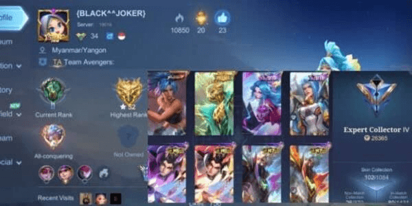 Product Showcase