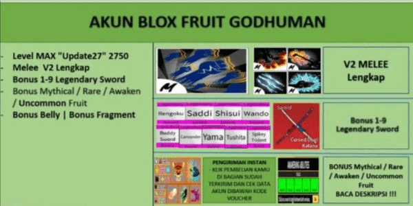 Gambar Product DISKON AKUN BLOX FRUIT GODHUMAN [Level MAX]