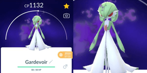 Gardevoir Purified