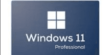 Gambar Product Windows 11 Professional