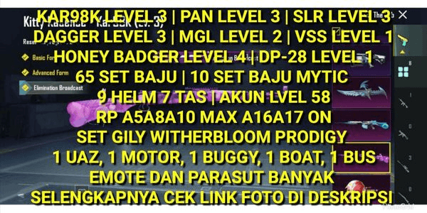Gambar Product PUBG CHEAP GILLY SET