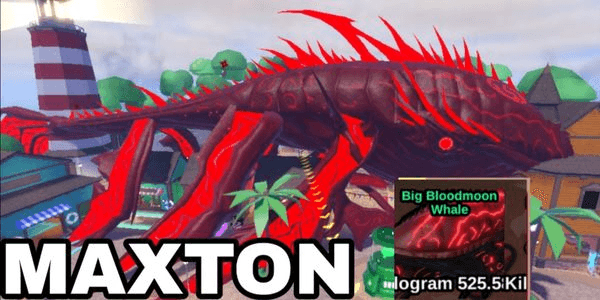 Gambar Product Big Bloodmoon Whale