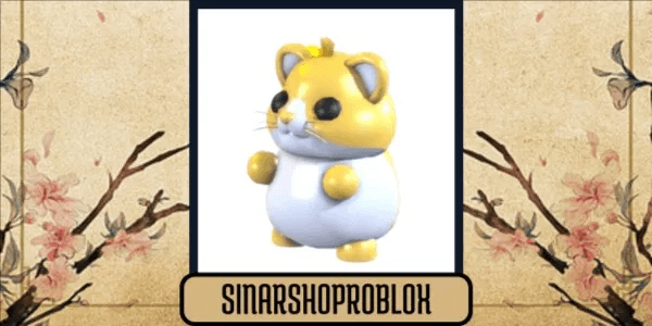 Golden Hamster