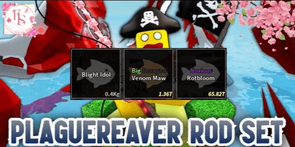 Product Showcase
