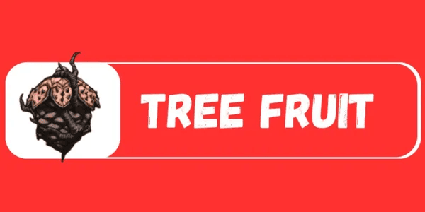 Tree Fruit