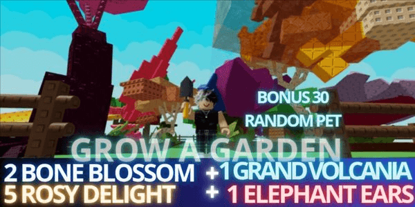 Gambar Product AKUN 2 BONE BLOSSOM