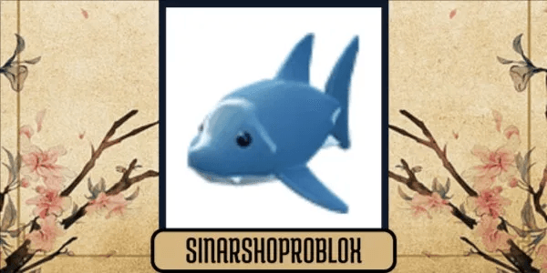Shark