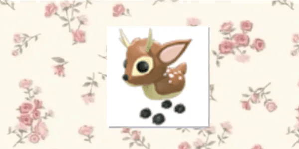 Fallow Deer
