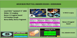 Blox Fruit Account FULL AWAKEN DOUGH [Level MAX] [Datpol]