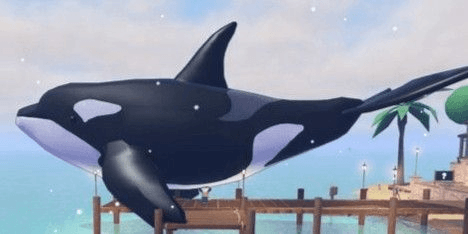 Gambar Product Orca