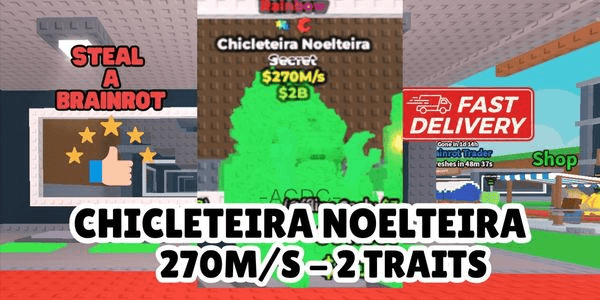 Gambar Product Rainbow Chicleteira Noelteira 270M/s