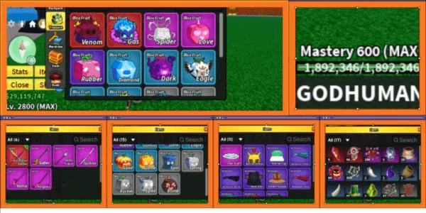 Product Showcase