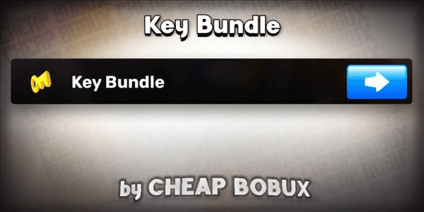 Gambar Product Key Bundle