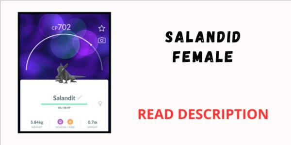 Gambar Product Salandit Female